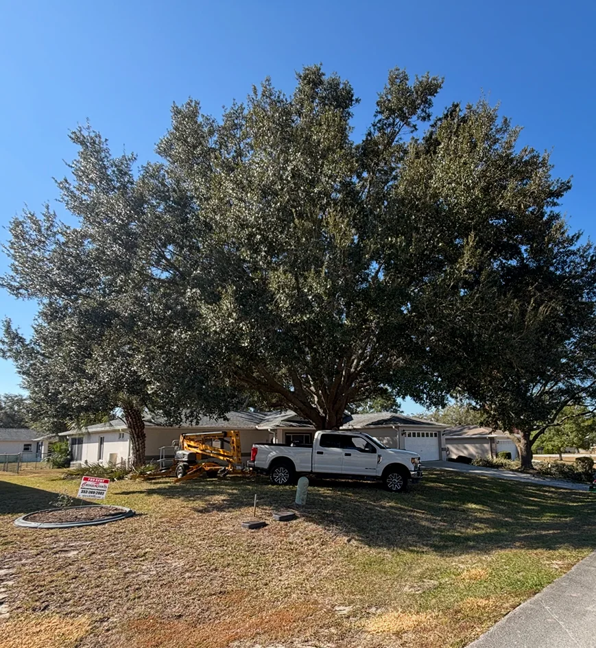 abc sitework llc dunnellon fl 2026 01 05T22 50 30.081667Z 3972.5249275084584